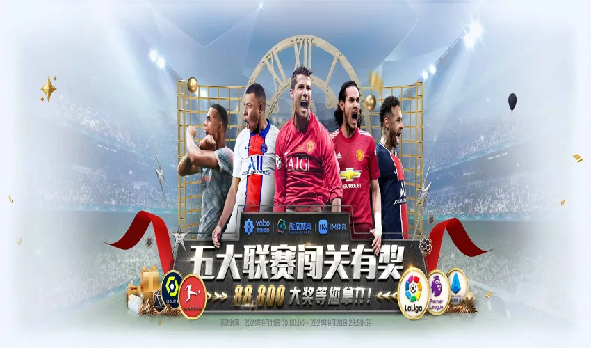 龙珠体育体育