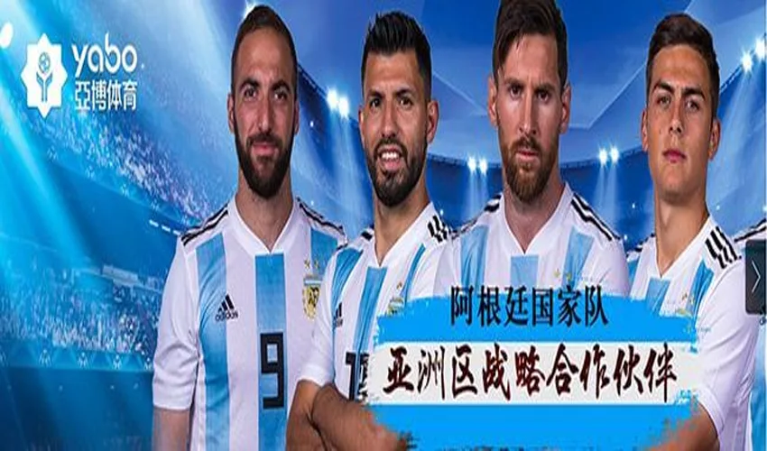 龙珠体育体育
